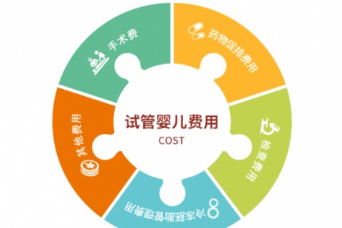 嘉兴捐卵宝宝肚痛，父母该怎么办？