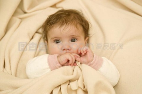 http://jiaxing.nbgk120.com/post/188.html|嘉兴新闻中心